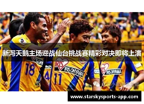 新泻天鹅主场迎战仙台挑战赛精彩对决即将上演 新泻天鹅主场迎战仙台挑战赛精彩对决即将上演